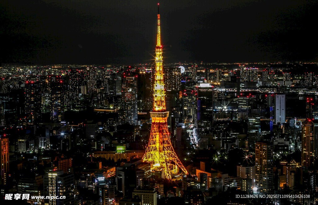 东京塔夜景璀璨夺目