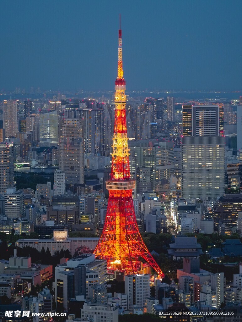 东京塔夜景璀璨