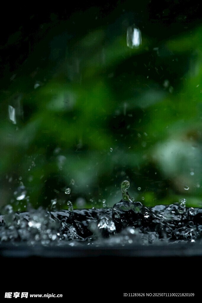 雨滴滑落玻璃上的绿植