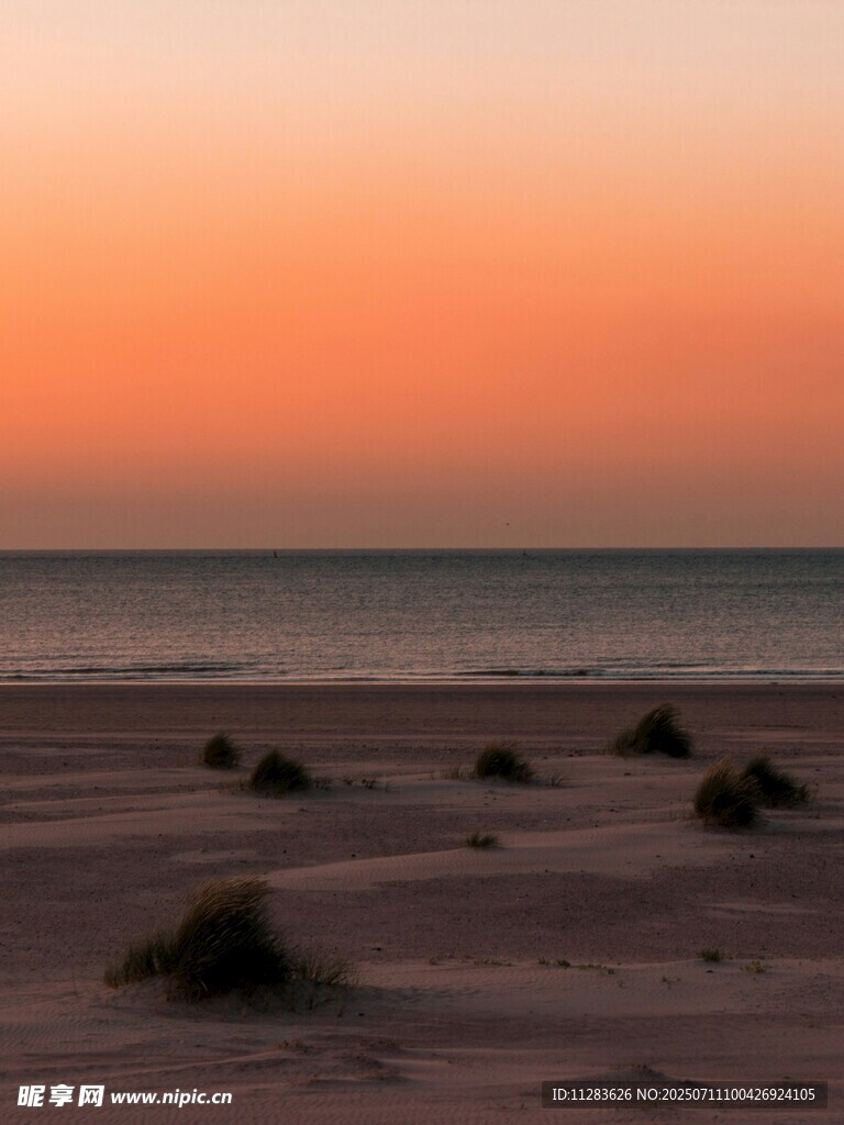 夕阳下的沙滩与零星植被