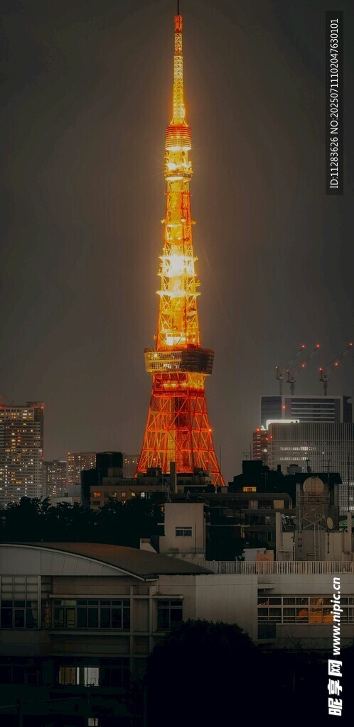 东京塔夜景璀璨