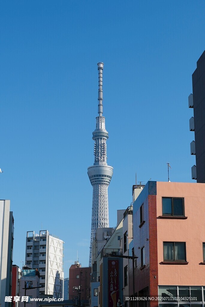 东京城市景观中的高塔
