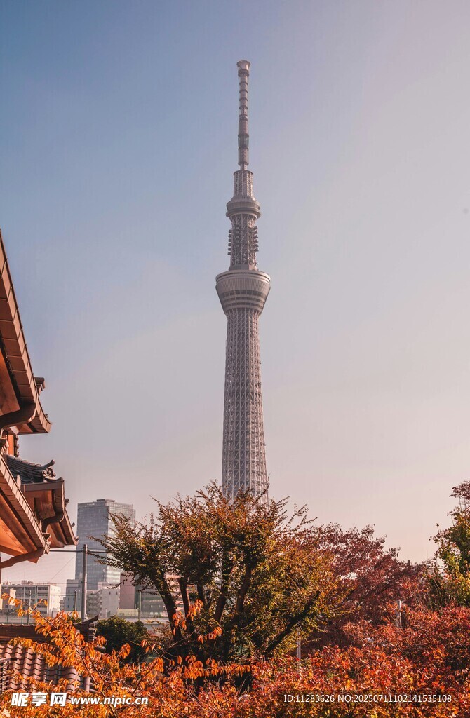 东京塔旁的秋日景致