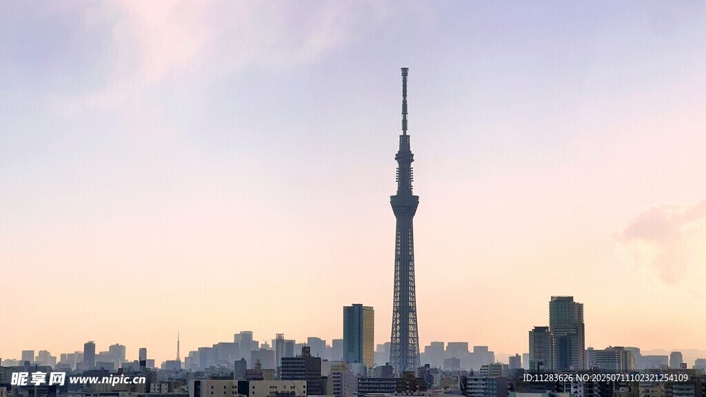 黄昏下的城市高塔景观