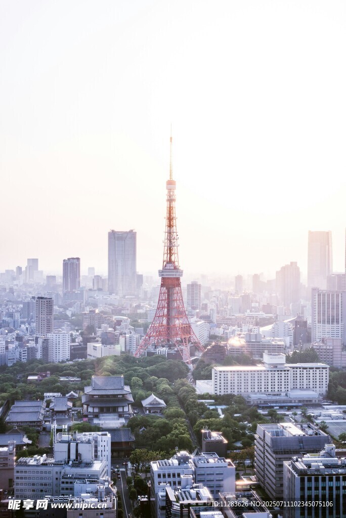 东京城市景观中的铁塔