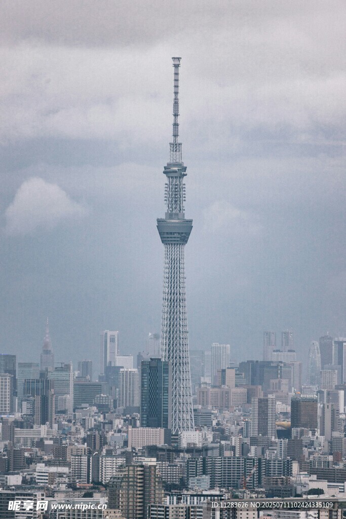 东京城市天际线中的晴空塔
