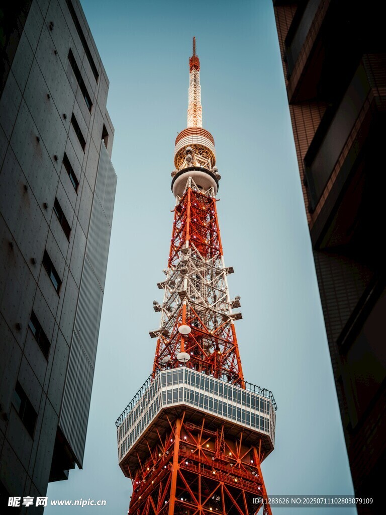 东京塔特写