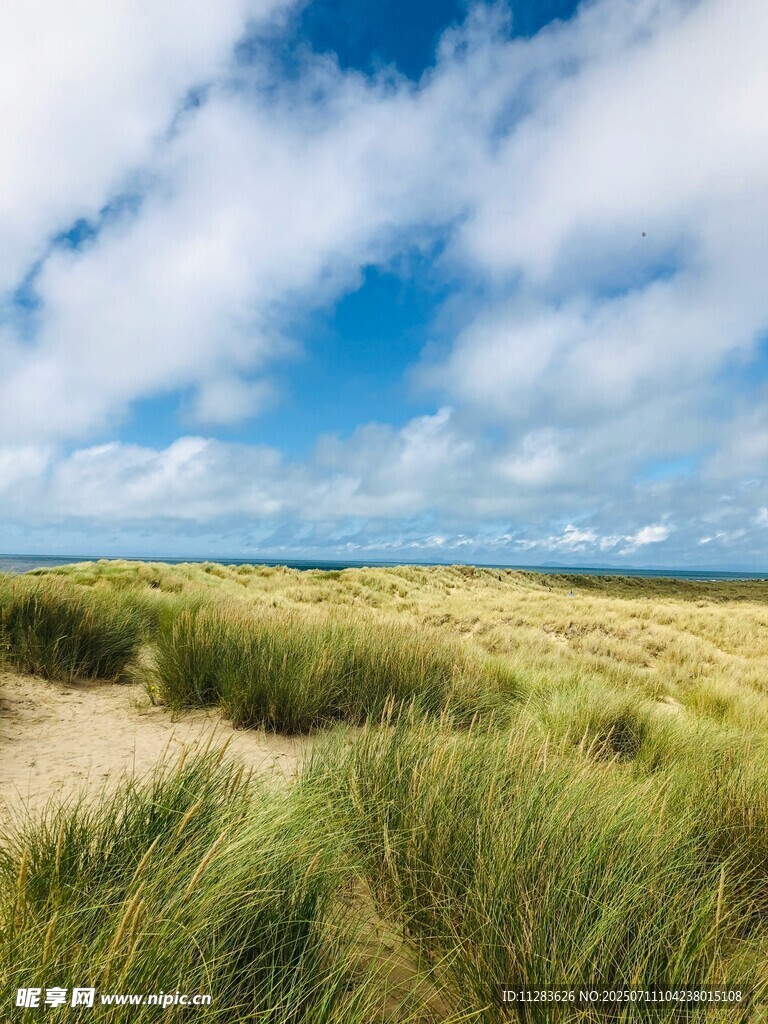 广袤草原与蓝天白云美景