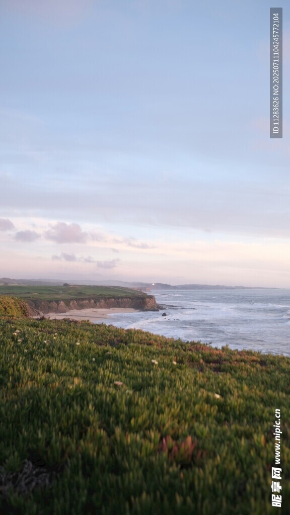 海岸绿植景观