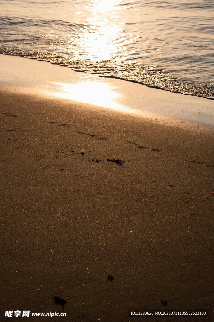 夕阳下的沙滩与海浪