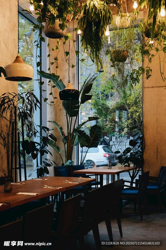 绿植环绕的温馨室内空间