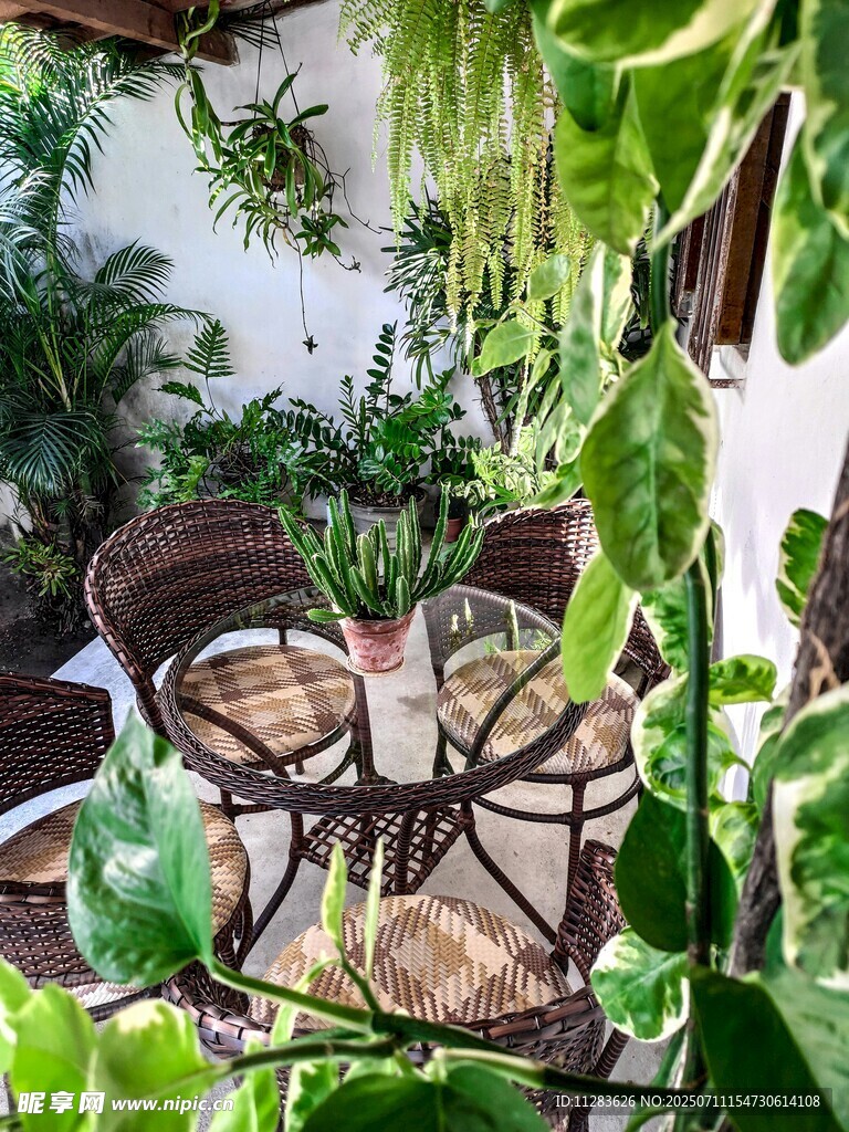 惬意绿植环绕的户外休闲区