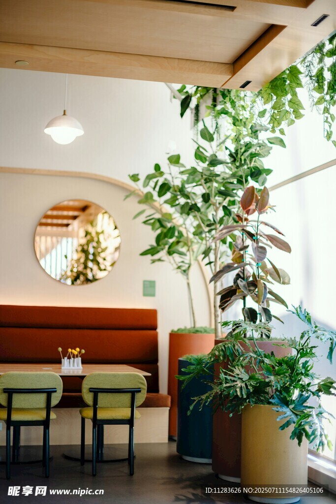 温馨绿植餐厅室内一角