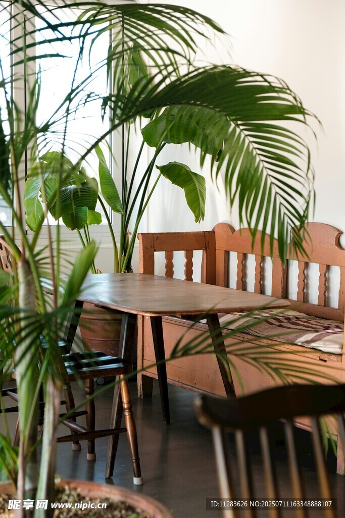 室内绿植环绕的木质餐桌