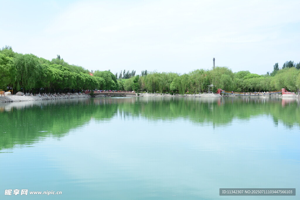 宁静湖水与葱郁绿树景观