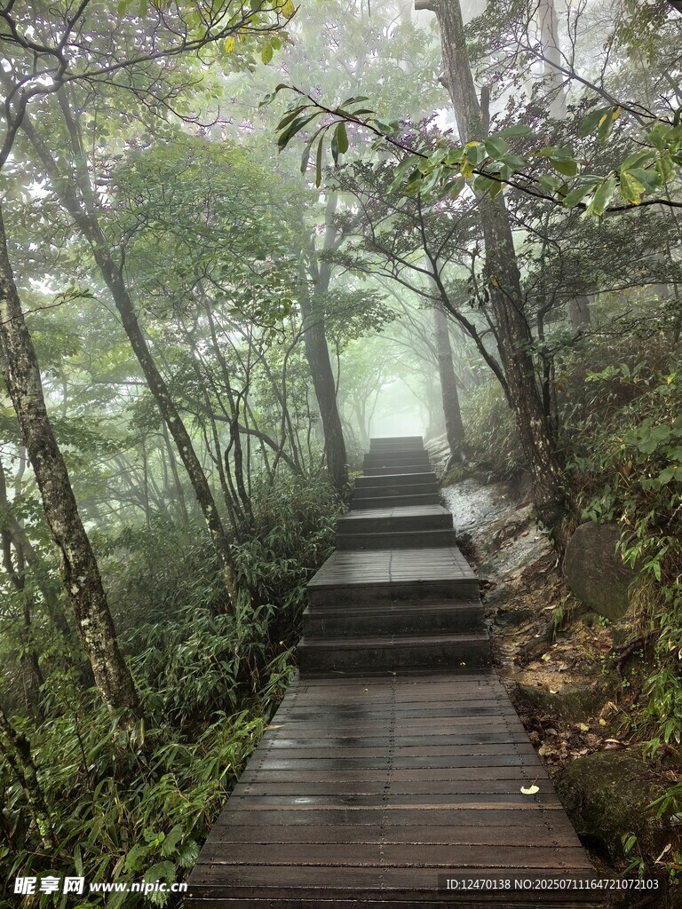 风景图