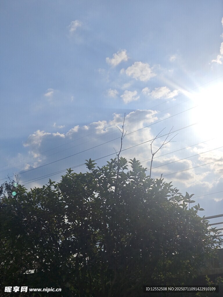阳光透过树梢的晴朗景象