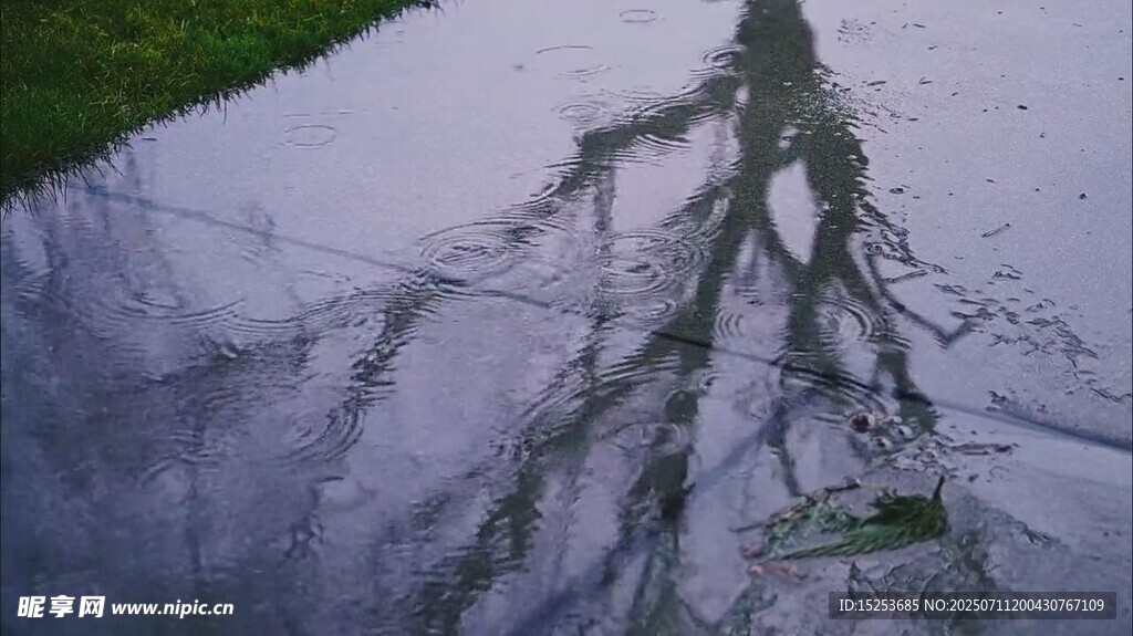 水中树影倒影自然美景