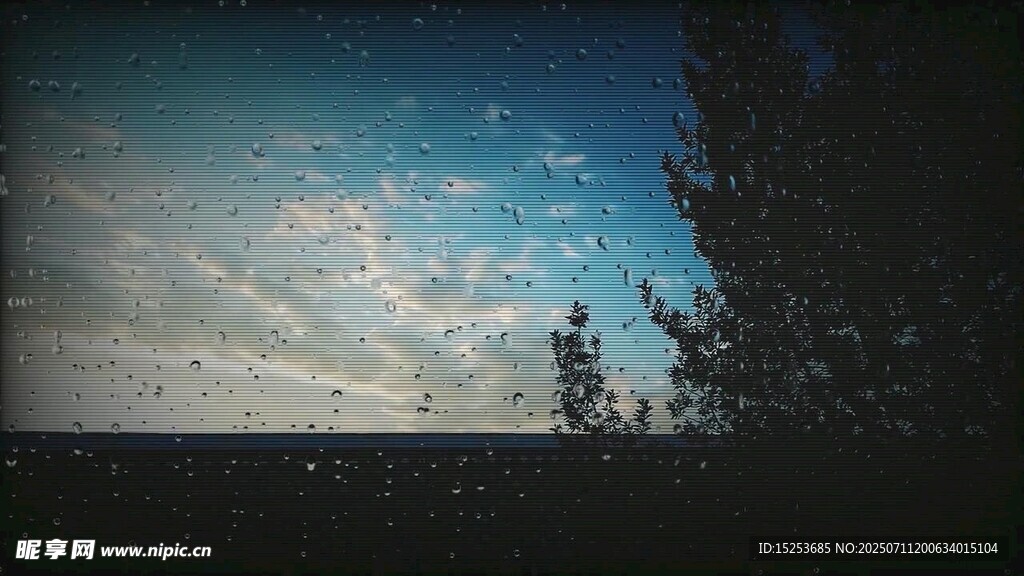 夜空下的树木与云朵