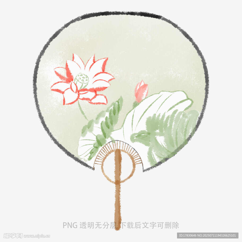 古典荷花团扇插画