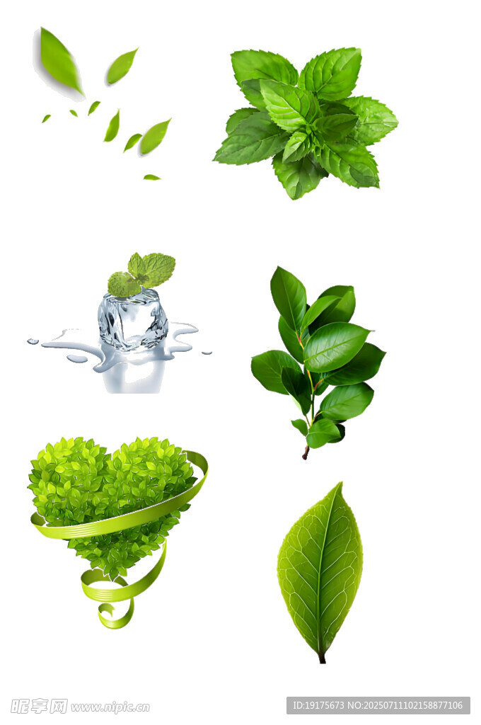 清新薄荷叶与冰块组合