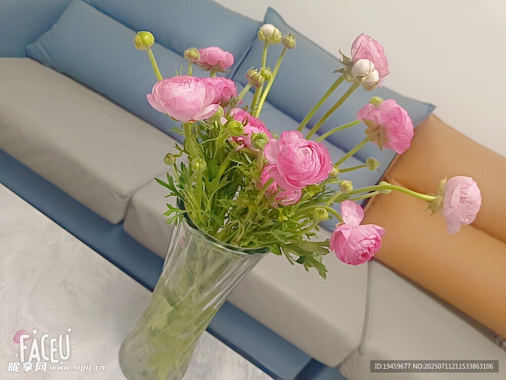 花瓶中粉色花朵装点客厅