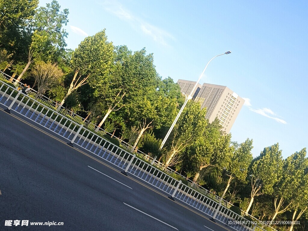 城市道路旁的绿树与建筑