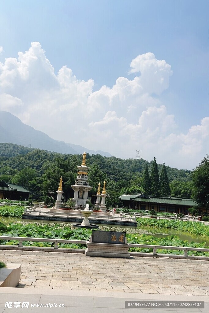 园林景观中的雕塑与绿植