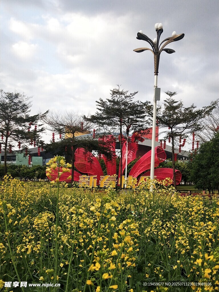 春日花海中的红色景观