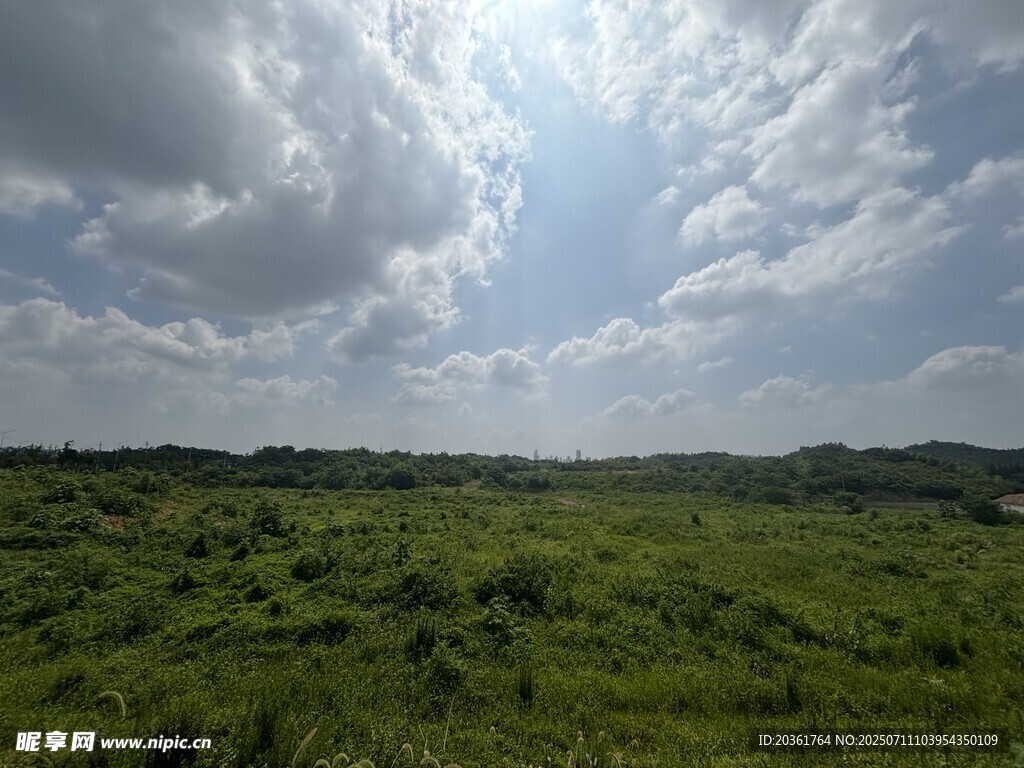 广袤绿野