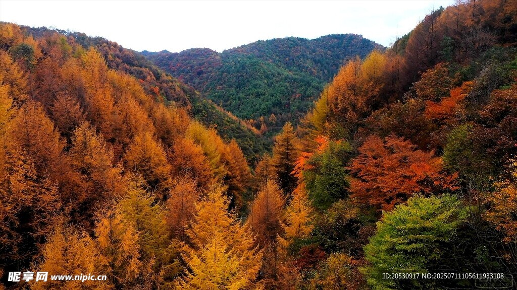 秋日山林斑斓美景