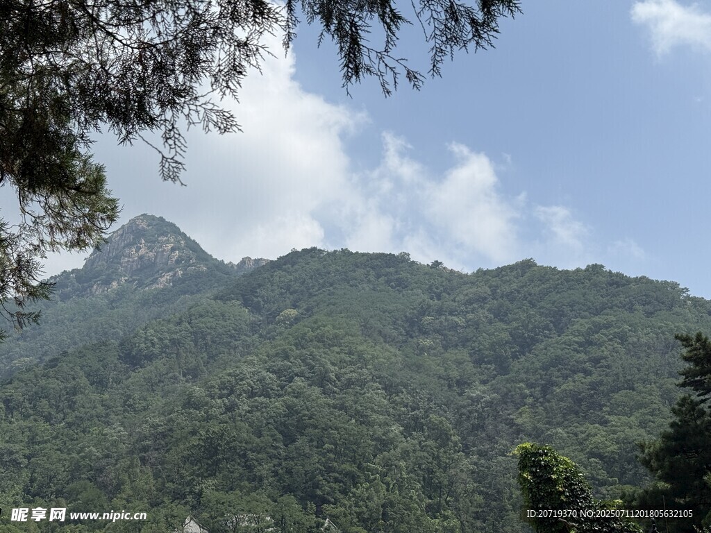 泰山
