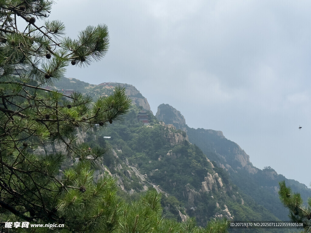 泰山