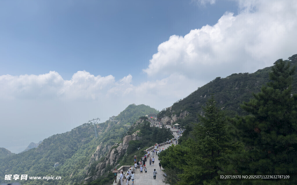 泰山