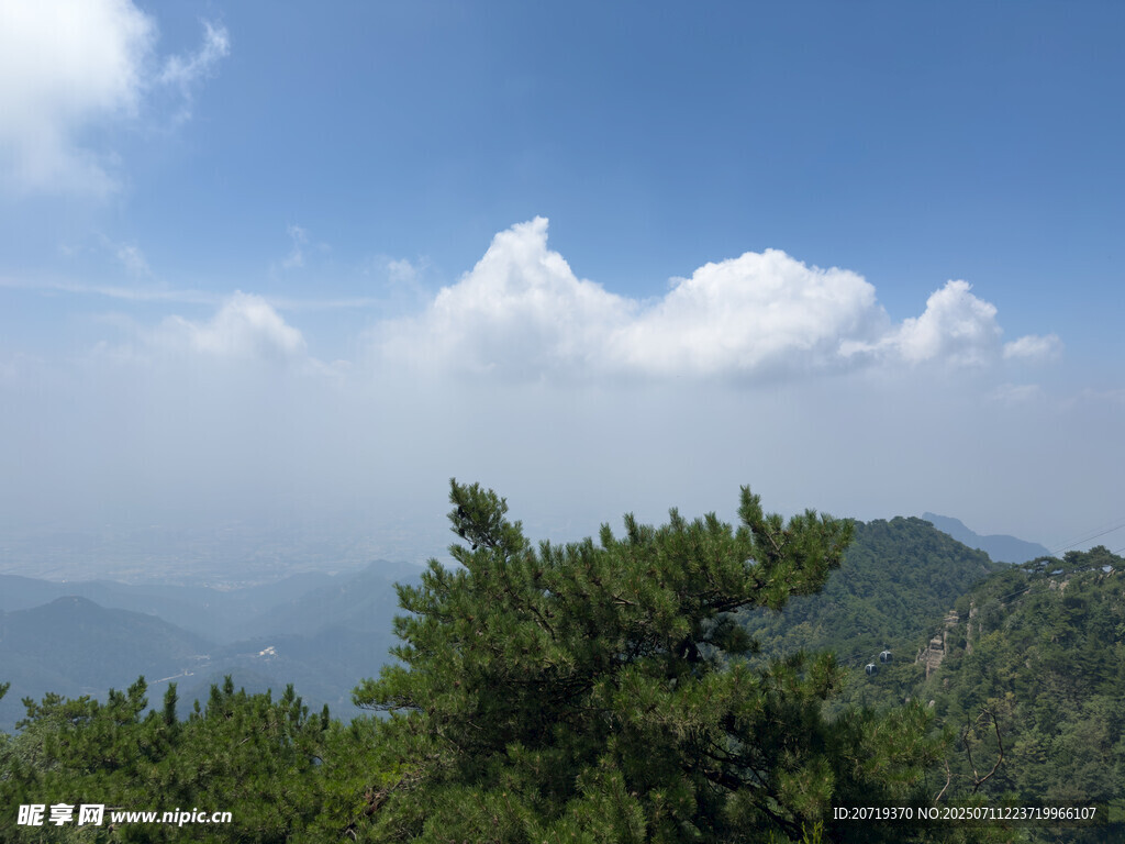 泰山