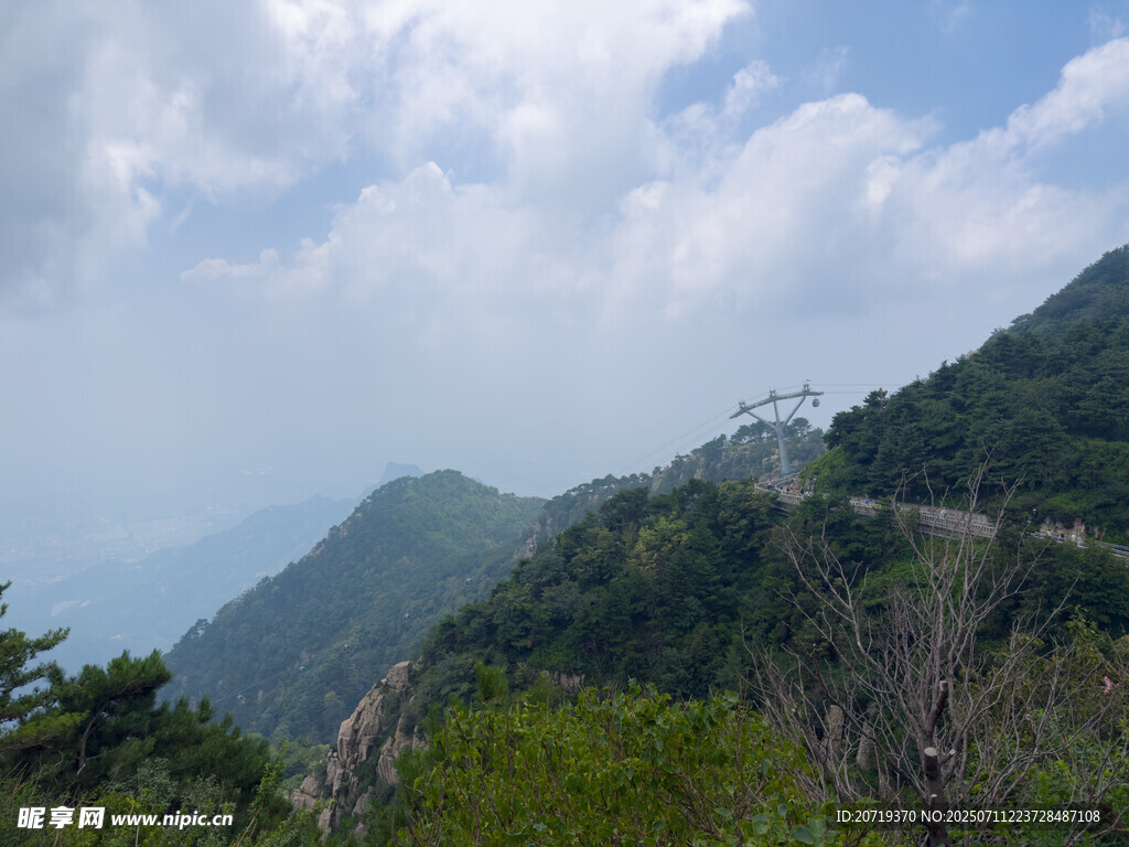 泰山