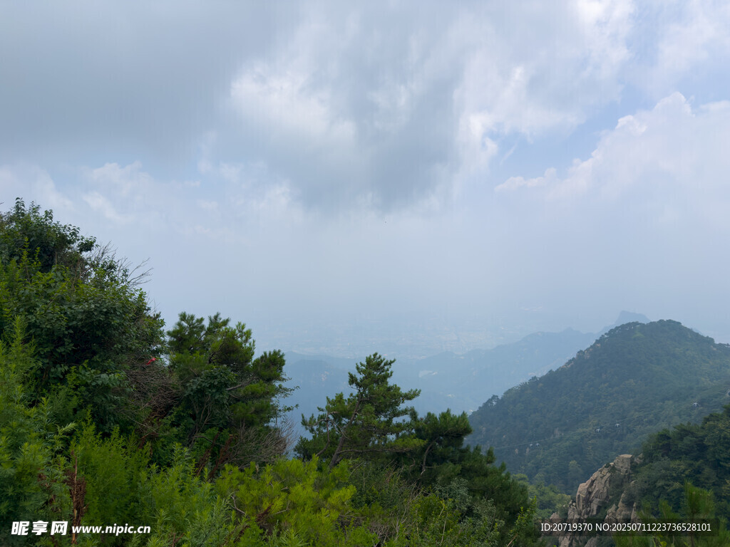 泰山