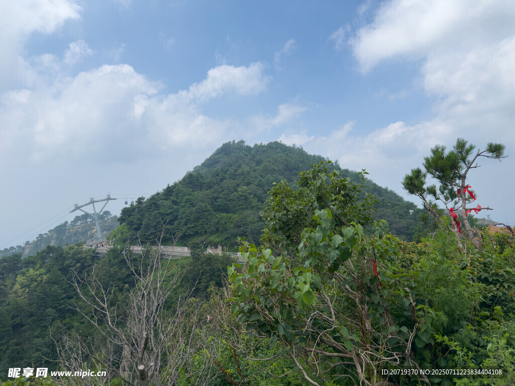 泰山