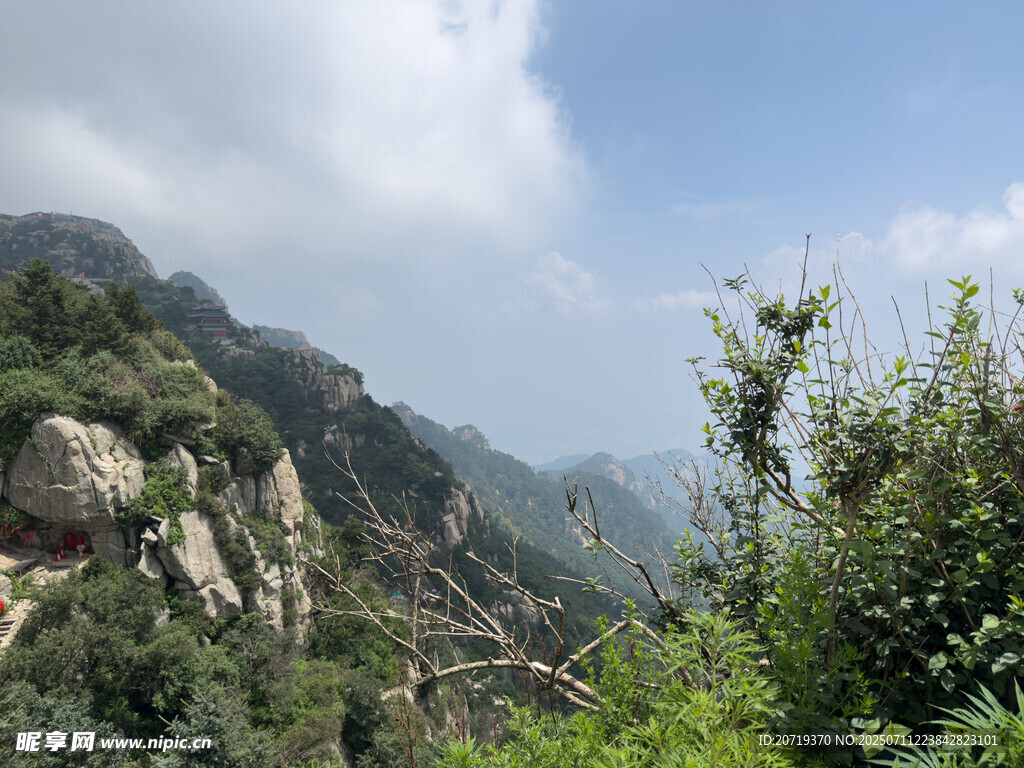 泰山