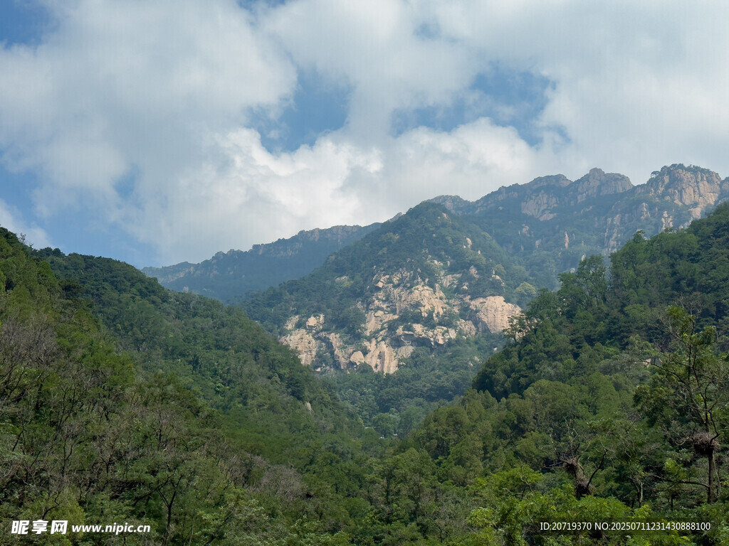 泰山