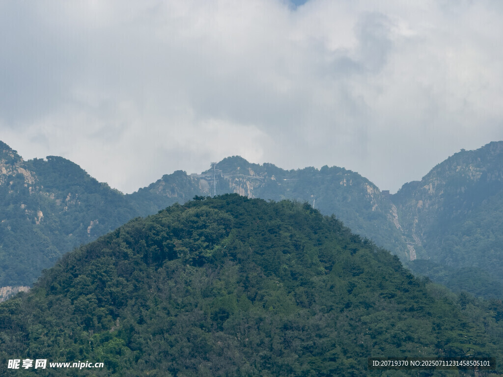 泰山