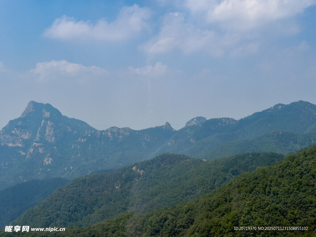 泰山