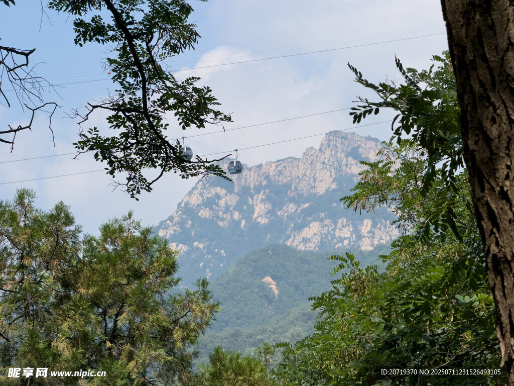泰山