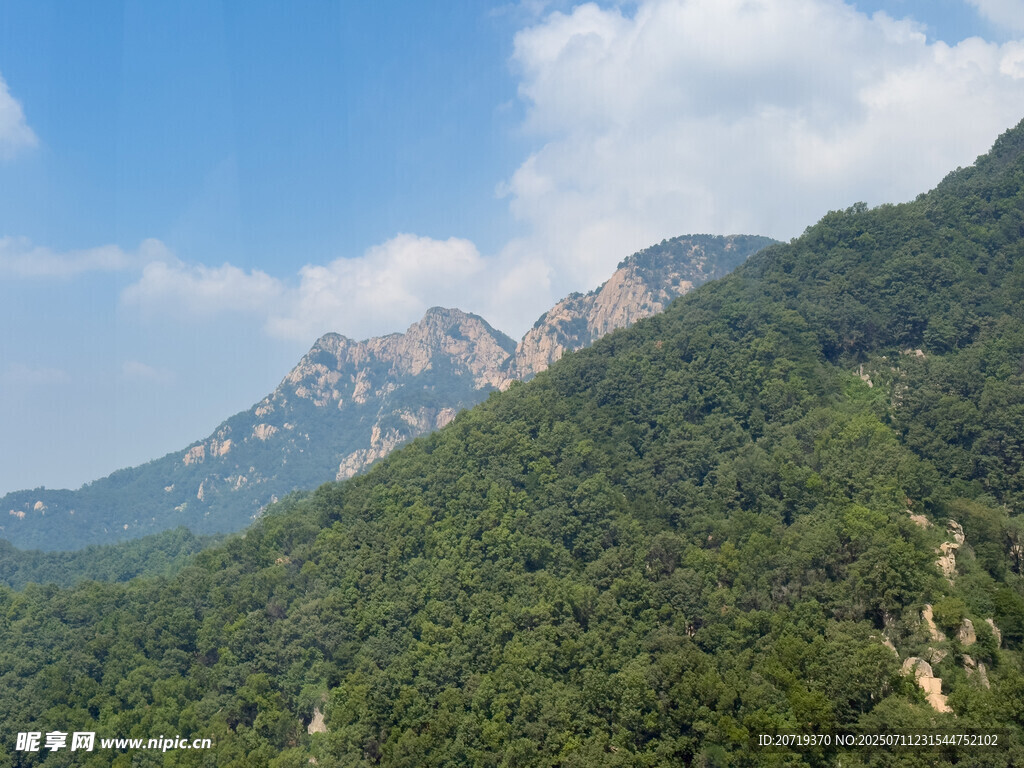 泰山