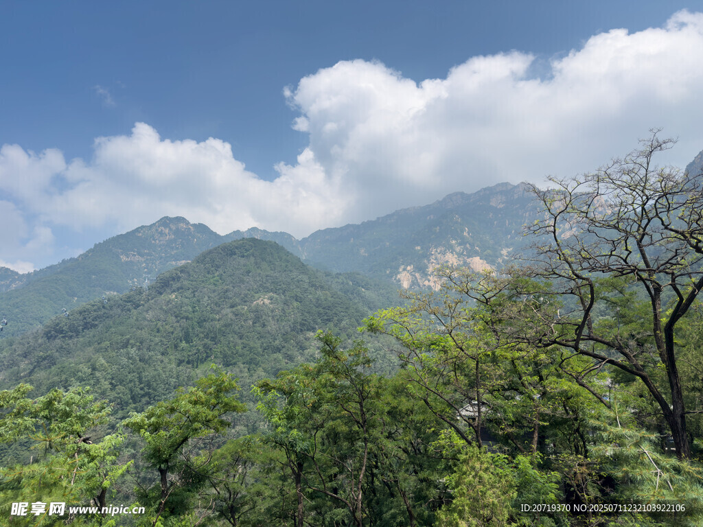 泰山