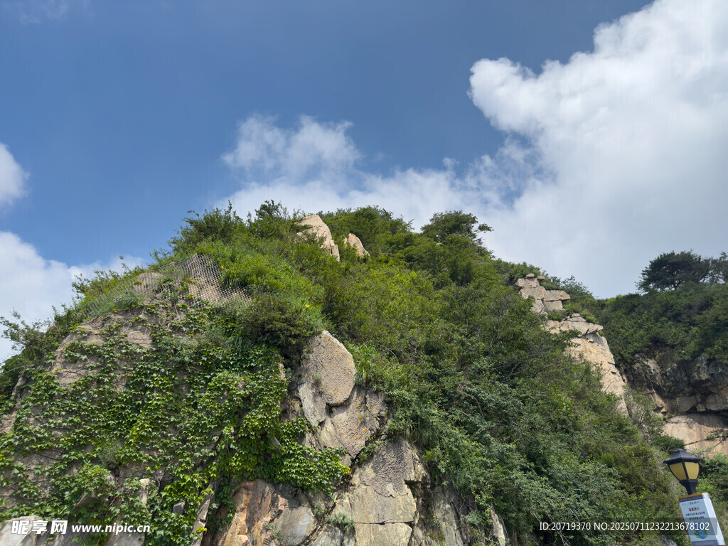 泰山