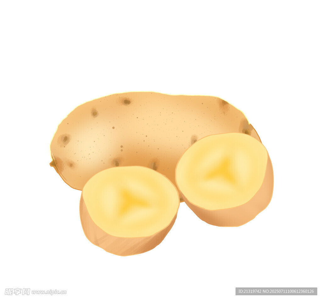 土豆插画