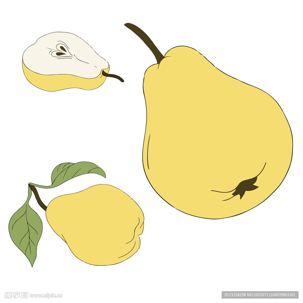 黄梨插画
