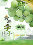 青脆李宣传海报