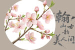 桃花插图